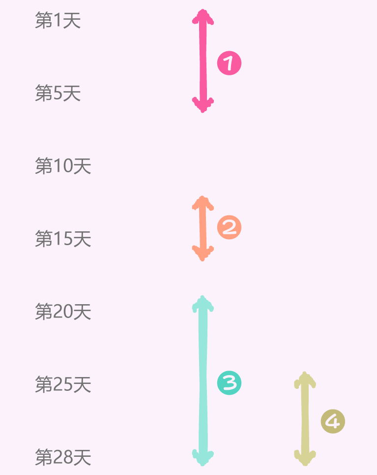 自分の生理周期を知っておくとからだの状態がわかってきます