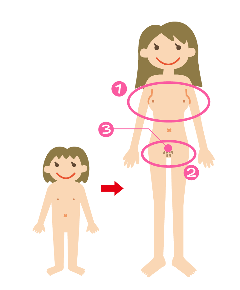 女の子のからだのしくみ 尤妮佳 女の子のからだのしくみ 尤妮佳